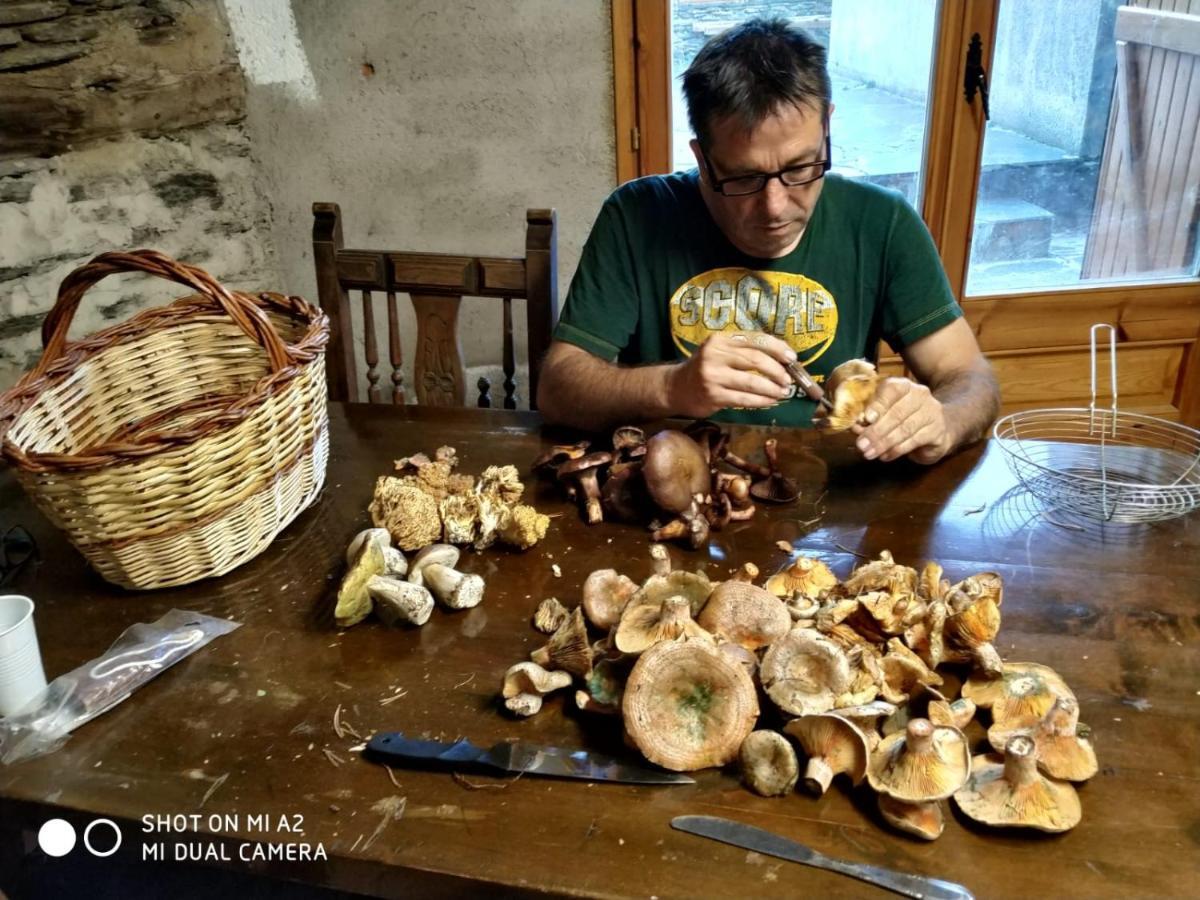 Casa Pirineu Βίλα Esterri de Cardos Εξωτερικό φωτογραφία